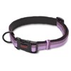 The Company of Animals - Halti Collar