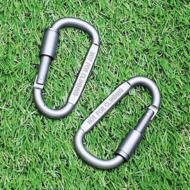SFr lock D carabiner 4ea