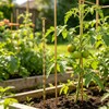 12 Inch 30 Pack Garden Staples ，Spiral Landscape Spikes, Landscape