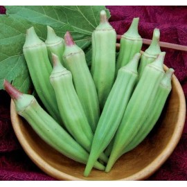Asian Best 150+ green OKRA Clemson Spineless Non-GMO  dau bap seeds