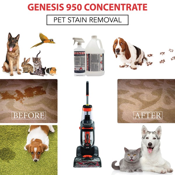 Genesis 950 2.5 Gallon + Spigot - Professional Strength Concentrate, Pet Odor Eliminator, Pet Stain Remover, Carpet Cleaner Shampoo & All Purpose Green Cleaner, Make Stains, Oil/Grease Water Soluble
