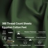 Superior Egyptian Cotton 300 Thread Count Bed Sheet Set, 2