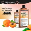 Apricot Kernel Oil 250 ml - Pure, Natural, Cold Pressed