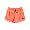 Quiksilver Men's Everyday 38.1-cm Board Shorts