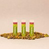 Crazy Rumors Pistachio Lip Balm (Pack of 2)
