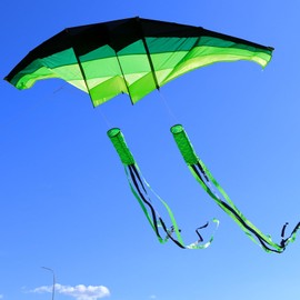 TianYueFly Huge 3D Adult Gliders Kite, 120" in Giant Single Line Kites with Two 17ft 3D Tails, Large Beach Kite for Adults