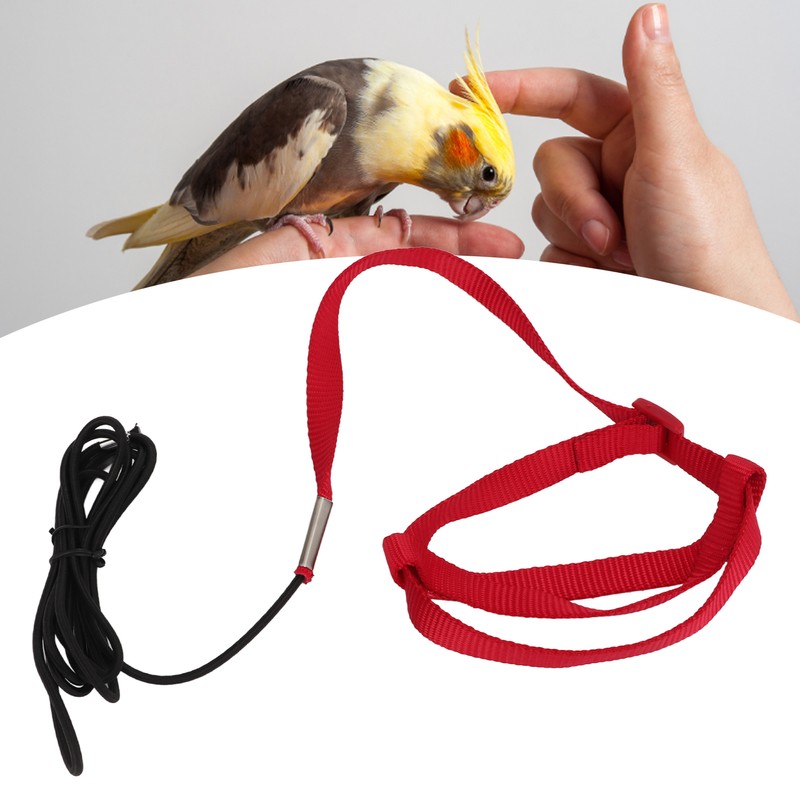 Bird Leash Bite Resistant Adjustable Parrot Flying Training Rope for