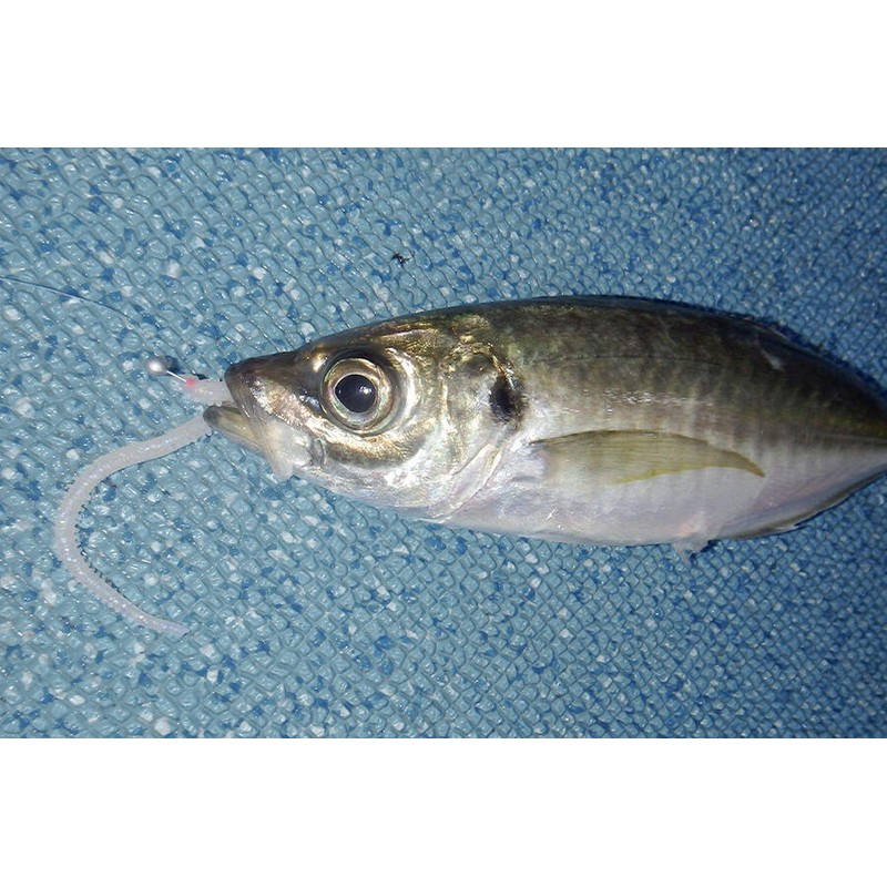 Berkley Gulp! Isome Thick 4 - Jalime (NAT)