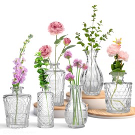 KETWOD Glass Mini Vases, 5 Inch Height, Set of 4, Transparent Bottle Shape, for Home and Flowers (6)