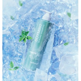 Medicube Soy Mint Seborrheic Scalp Scaling Dandruff Shampoo Citrus, 490ml, 2 units / 메디큐브 소이민트 지루성두피 스케일링 비듬샴푸 시트러스, 490ml, 2개