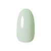 PRE GEL PG-CE981 Color EX Pistachio Whip 0.1 oz (3