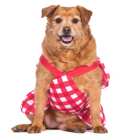 The Dodo Red Plaid Dress for Dogs, Size Extra Small, Machine Washable Everyday Apparel for Dogs, Cute Dog Dress, Cute Clothes