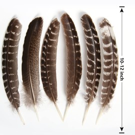 THARAHT 24pcs Natural Wild Turkey Wing Feathers Quill Bulk 10-12inch 25-30cm for DIY Crafts Project Collection Wedding Decoration Wild Turkey Tails Feather