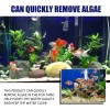 Yegbong Algae Remover Moss Remover Aquarium Algae Remover Moss Remover