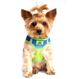 DOGGIE DESIGN American River Ombre - Cobalt Sport Ultra Choke Free Dog Harness in Size Medium (Chest 16"-19", for Pets Weighing 11-16Lbs.)