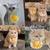 Hjvvr Pet Bib,Cat Collar Decoration,Adjustable Cat Scarf Neckwear with Bow