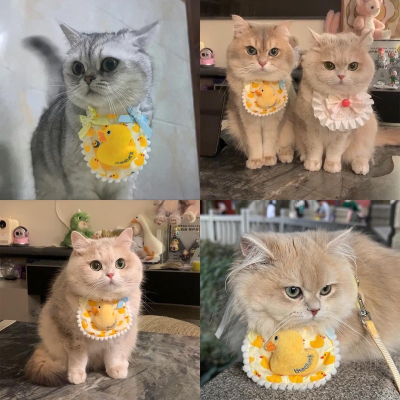 Hjvvr Pet Bib,Cat Collar Decoration,Adjustable Cat Scarf Neckwear with Bow