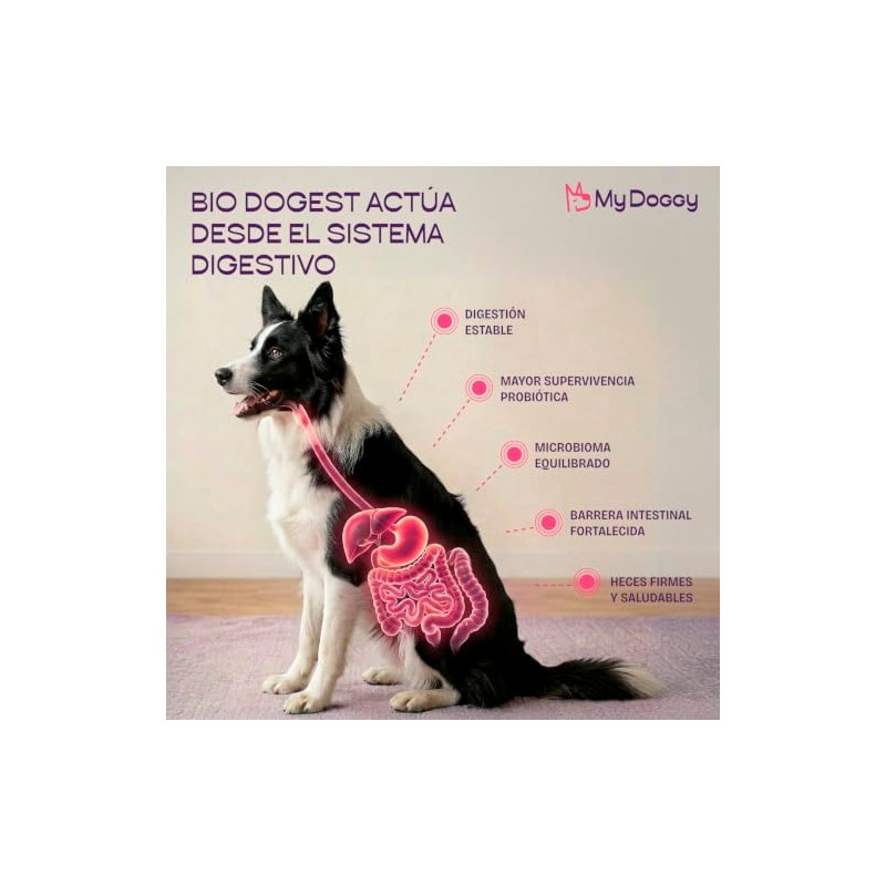 Bio Dogest Probiótico Perros con Cepas de Lobo y Perro