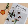 Butterfly and Insect in Resin Collection-Educational Specimen Set for Science