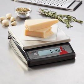 Taylor TE22FT 22-Pound Digital Portion Control Scale, Food Scale for Precise Weight Measuring and Portion Control, Tare and Hold Function, NSF, Stainl