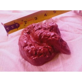 Unbranded Eat Dog Poop Poo Huge Chocolate Prank Anonymously shipped funny gift