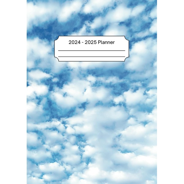 2024 - 2025 Teacher Planner: Daily Lesson Plan Book With