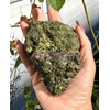Wholesale Lot 2 Lbs Natural Raw Epidote Crystal Healing Energy