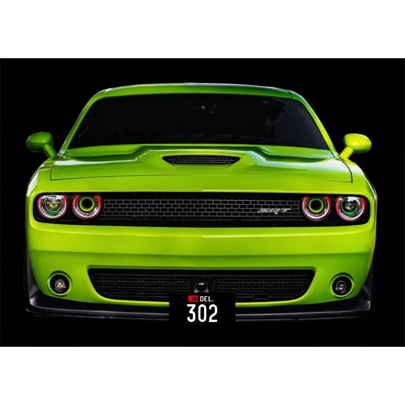 Sixtyskid Delaware Black License Plate (1942-1946) Design - "302"