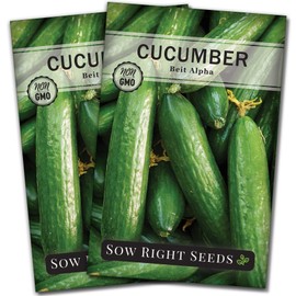Sow Right Seeds - Beit Alpha Cucumber Seeds for Planting - Non-GMO Heirloom Packet with Instructions to Plant and Grow a Home Vegetable Garden - Start Indoors, Plant Outdoors with Trellis (2)