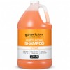 Ginger Lily Farms C and F Formula Shampoo, Citrus Gallon,