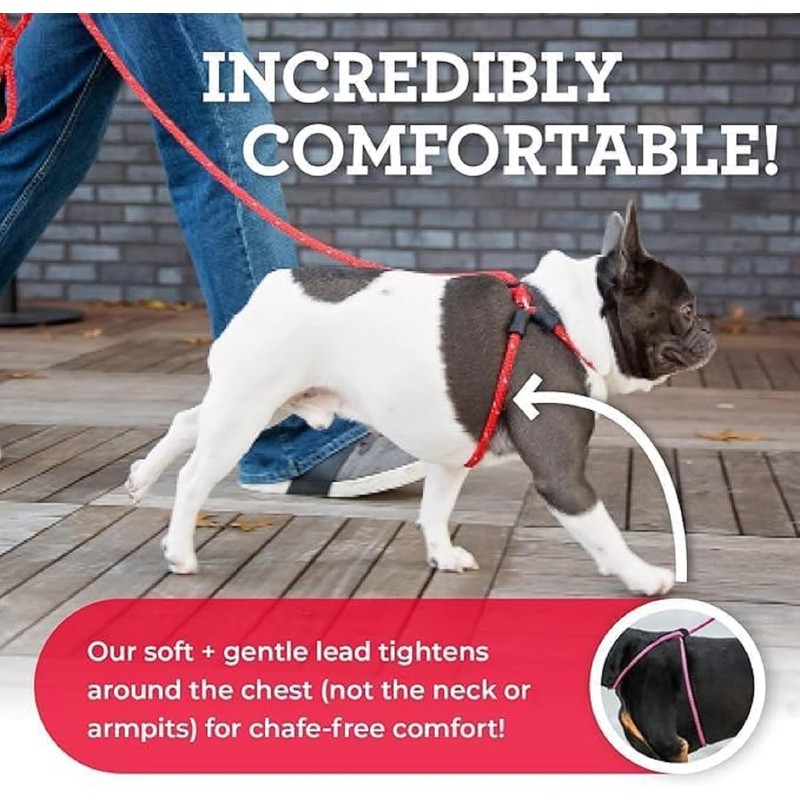 Harness Lead No Pull Dog Harness and Leash Set, Anti
