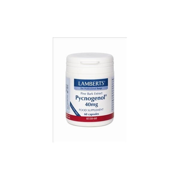 Lamberts Pycnogenol 40mg 60 Caps Antioxidant