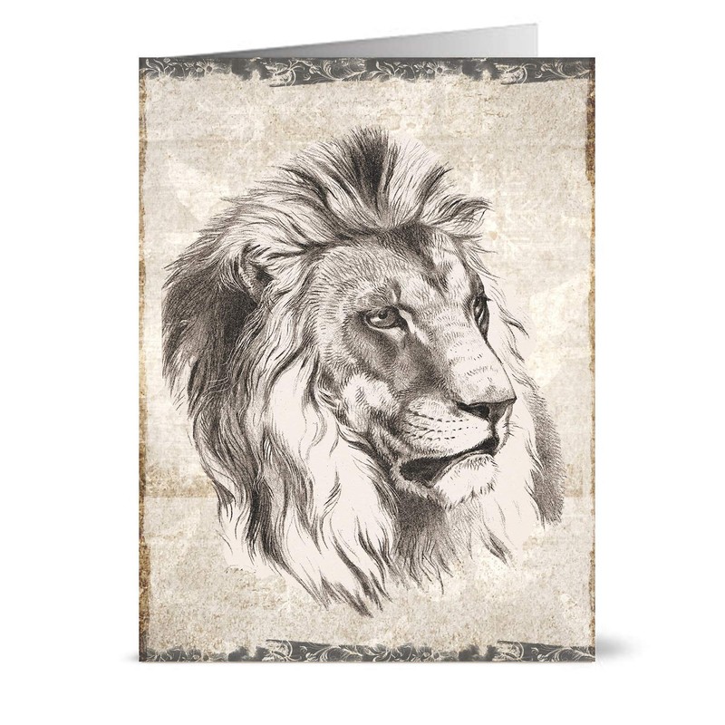 48 Eco-Friendly Blank Greeting Cards Drawn by an Artist ..