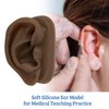 SimCoach Modelo de oreja de acupuntura, réplica de oreja artificial