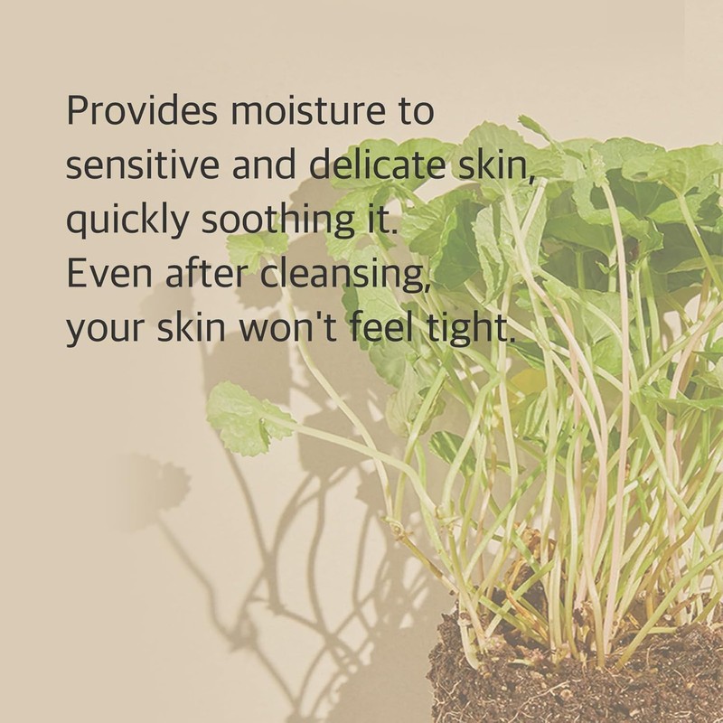 Centella Cleansing Foam – Espuma con CICA y ácido salicílico,