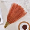 Faylifeway 𝟱𝟬pcs Orange Pampas Grass 𝟭𝟳in, Faux Pampas Grass Home