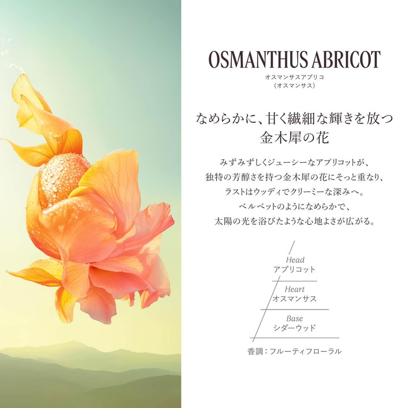 L'Occitane Osmanthus Ariko Perfumed Body Milk, 8.5 fl oz (250