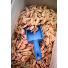 Vikan Hand Trowel, 1 Litre, Various Colours, blue