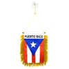 Puerto Rico Mini Banner - State Pride Car Display