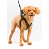 Anifull Anisapo Harrest Black S Dog Small Size