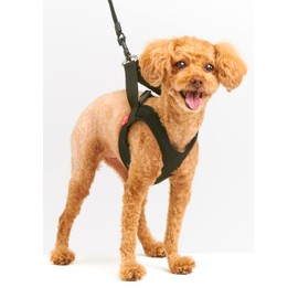 Anifull Anisapo Harrest Black S Dog Small Size