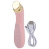 Facial Beauty Massager Hot Compress Vibration EMS Microcurrent Skin Tightening