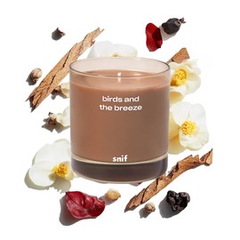 Birds and The Breeze Luxury Scented Candle by Snif, Light and Airy Scent, 50+ Hours, 100% Cotton Fiber Wicks, Soy Wax Blend, Non-Toxic, Vegan, 8.5 oz…