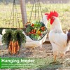 GOEDCH Set of 2 Chicken Feeders: Chicken Vegetable Hanging Feeder,