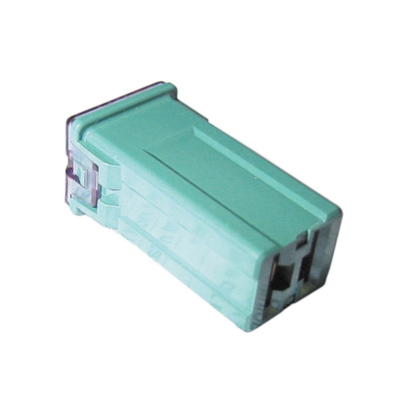 Pearl PWN804 40A Slow Blow Fuse