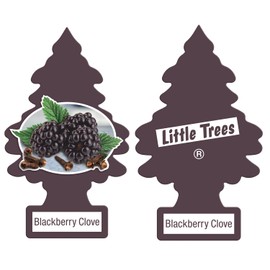 Little Trees DAS-17343 Car Air Freshener | Hanging Paper Tree for Home or Car | Blackberry Clove