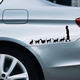 Crazy Cat Lady Car Stickers, Waterproof Vinyl Self-Adhesive Bumper Stickers, Funny Cat Car Decorations, Cute Automotive Decals for Vehicle Window, Laptop, Wall, Glass, Waterbottle (Black)