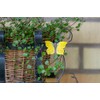 Wildlife Garden - Magnet Butterfly Common Brimstone (WG593) - Hand