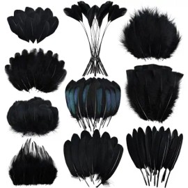 300 Pcs Small Feathers 10 Style Mixed Spotted Decorative Natual Pheasant Feather for DIY Crafts Clothing Jewelry Hair DecorationColor: Black