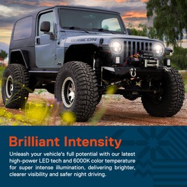 TRUE MODS 7 Inch LED Headlights Round [DOT-Approved] H6024 2d1 Black High Low Sealed Beam Replacement for Jeep Wrangler JK JKU TJ LJ CJ Chevy Ford GMC Dodge TOYOTA Hummer Land Rover Mazda Nissan VW